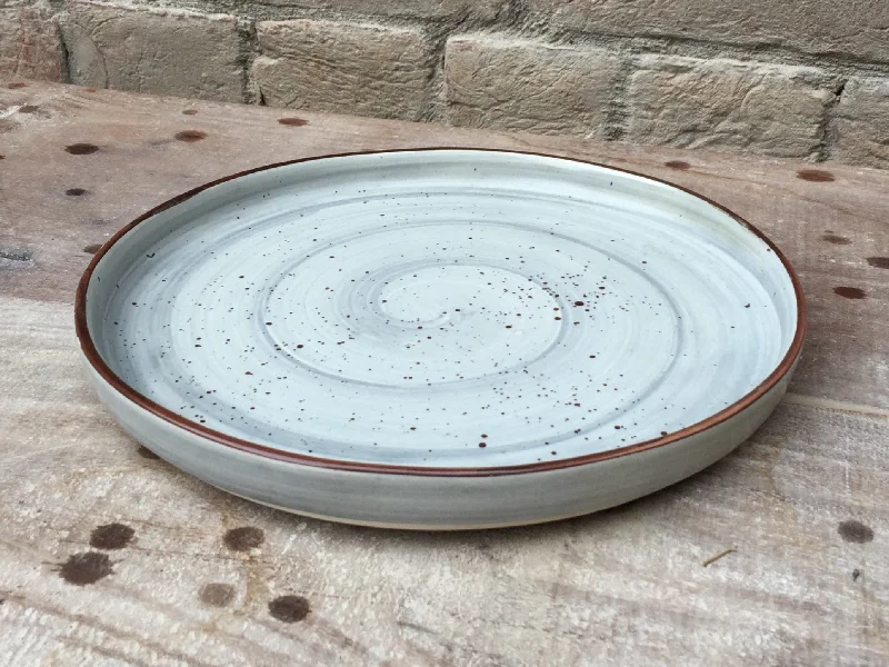 eco-friendly disposable dinner plates-Brush steel grey 10” Hampton plate