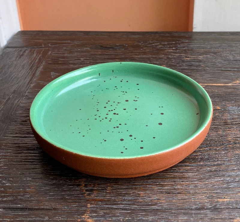 best dinner plates for home use-Sea green and terracotta 6” Hampton plate