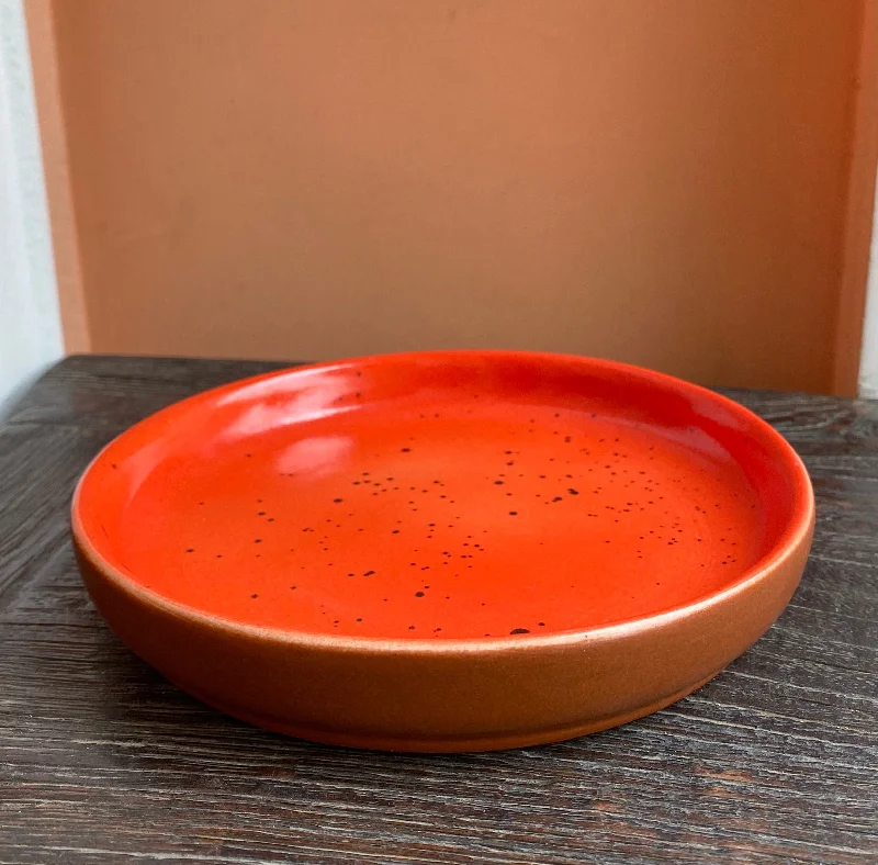 heavy-duty disposable plates-Bright orange and terracotta 6” Hampton plate