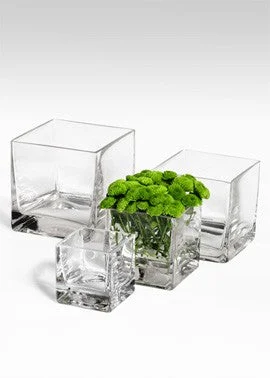 Large decorative flower vases for office -Glass Cube Vase, in 5 Sizes