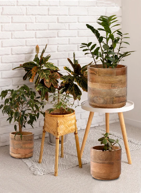 Large ceramic vases for home flower arrangements -Mango Wood Cachepot, in 3 Sizes