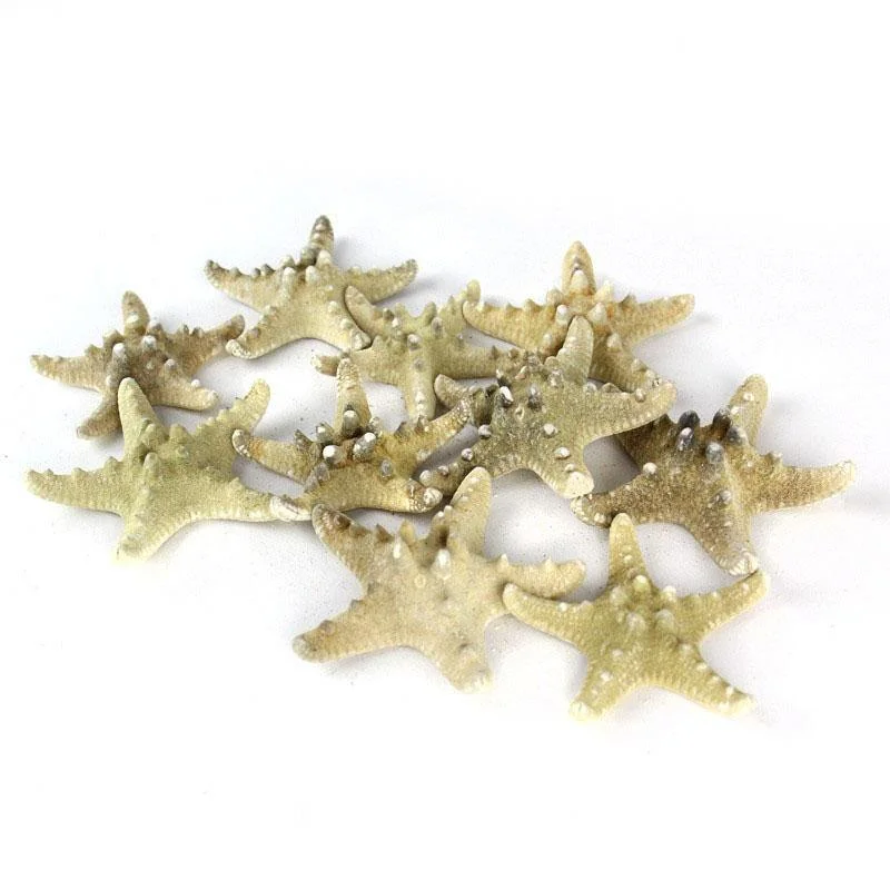 Luxury ceramic flower vases for wedding decorations -Natural Vase Filler Large Star Fish Knobby D-3"-4" - Pack of 48 PCS