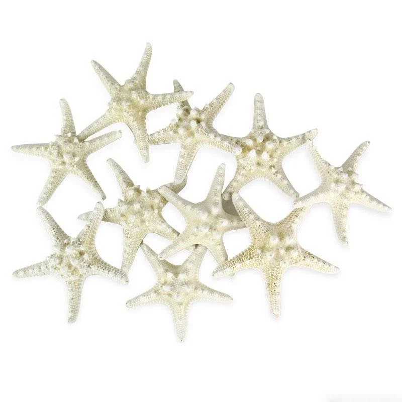 Large decorative flower vases for office -White Vase Filler Star Fish Knobby D-3"-4" - Pack of 48 PCS