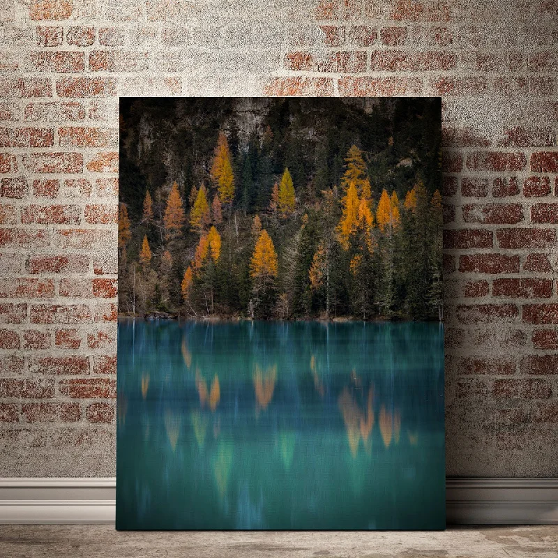 black and white framed canvas art-Autumn Reflections