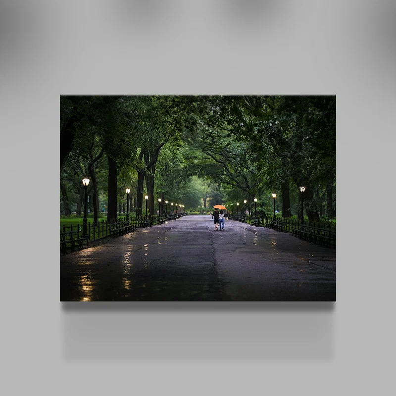 nature landscape wall decor-Central Park Walk