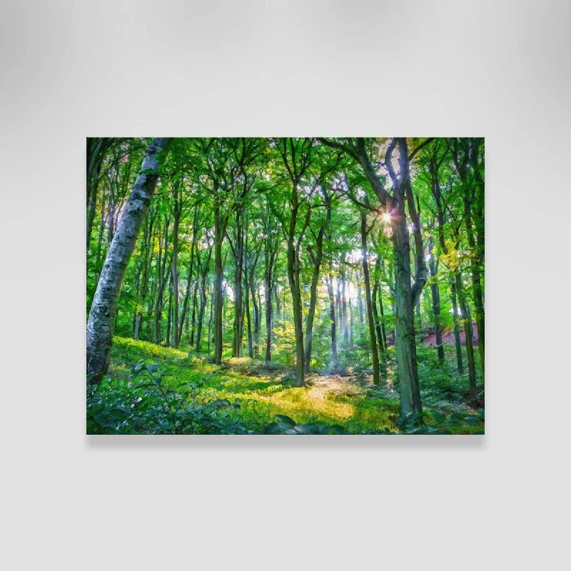 abstract photography wall art-Emerald Forest