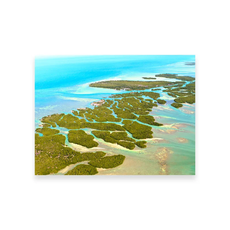 contemporary home wall prints-Florida Keys