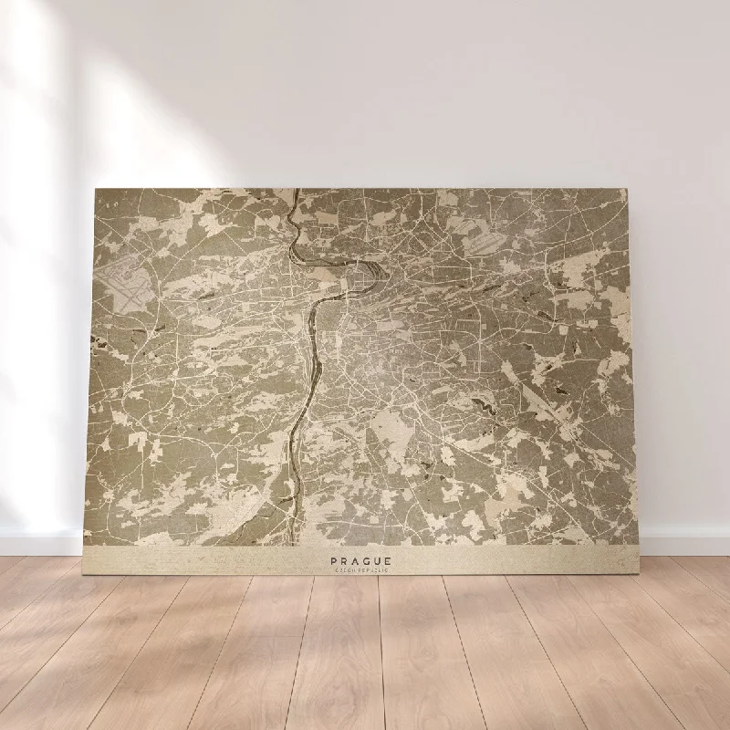 botanical abstract paintings-Prague Map