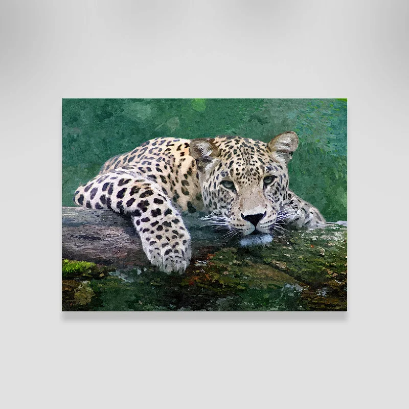 geometric wall paintings for living room-Snow Leopard