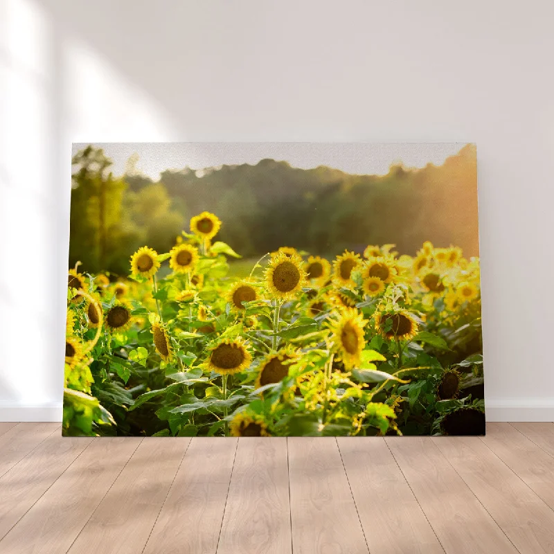 inspirational photo prints for wall-Sunflower Sunshine