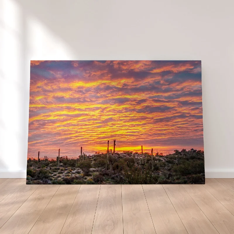 vibrant nature wall prints-Vibrant Arizona Desert Sunrise