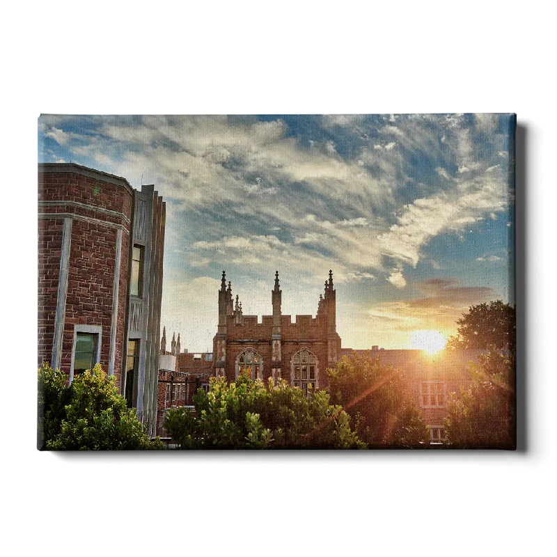 botanical art prints for living room-WashU - Campus Sunrise