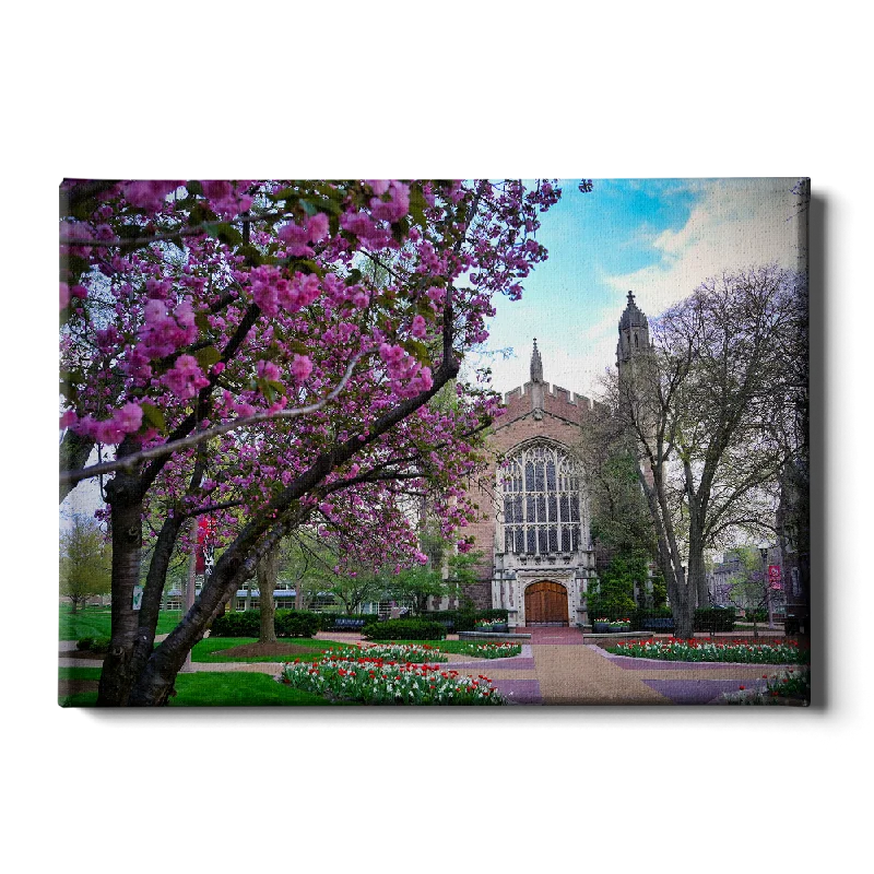 beach wall art canvas prints-WashU - Cherry Blossoms