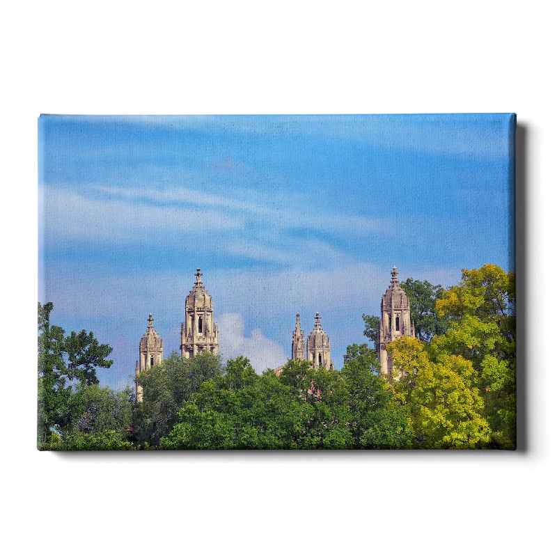 tropical nature canvas paintings-WashU - The Skyline