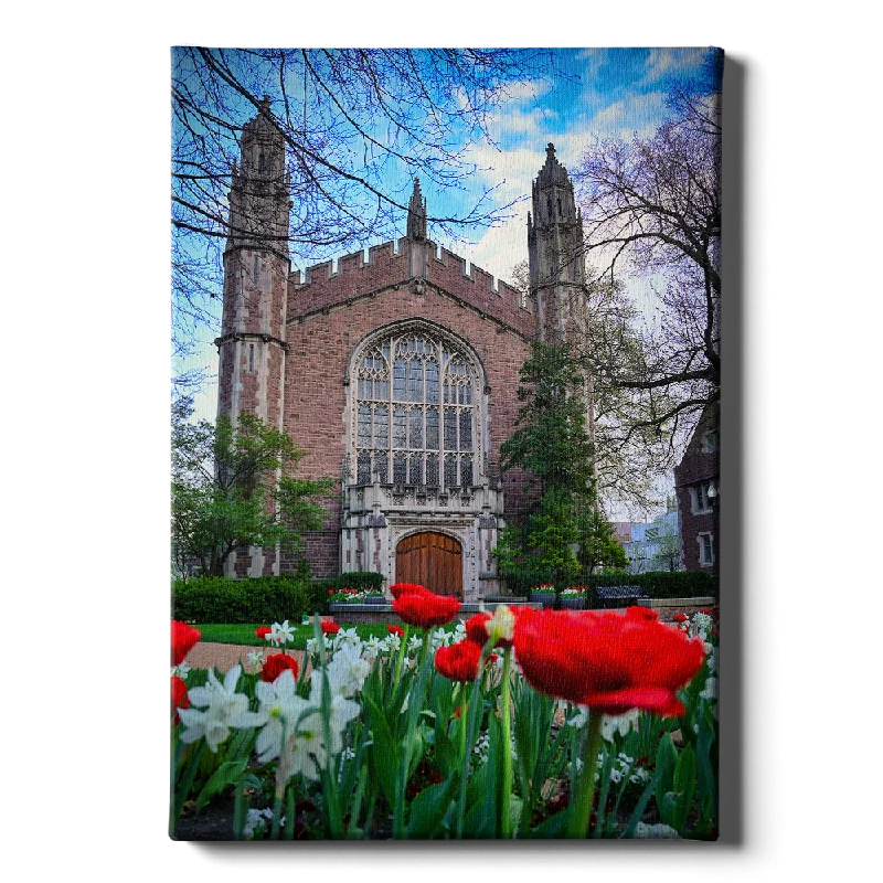 retro style art prints-WashU - Tulips